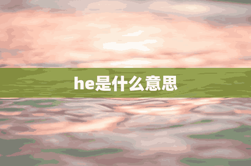 he是什么意思(he是什么意思在小说里)